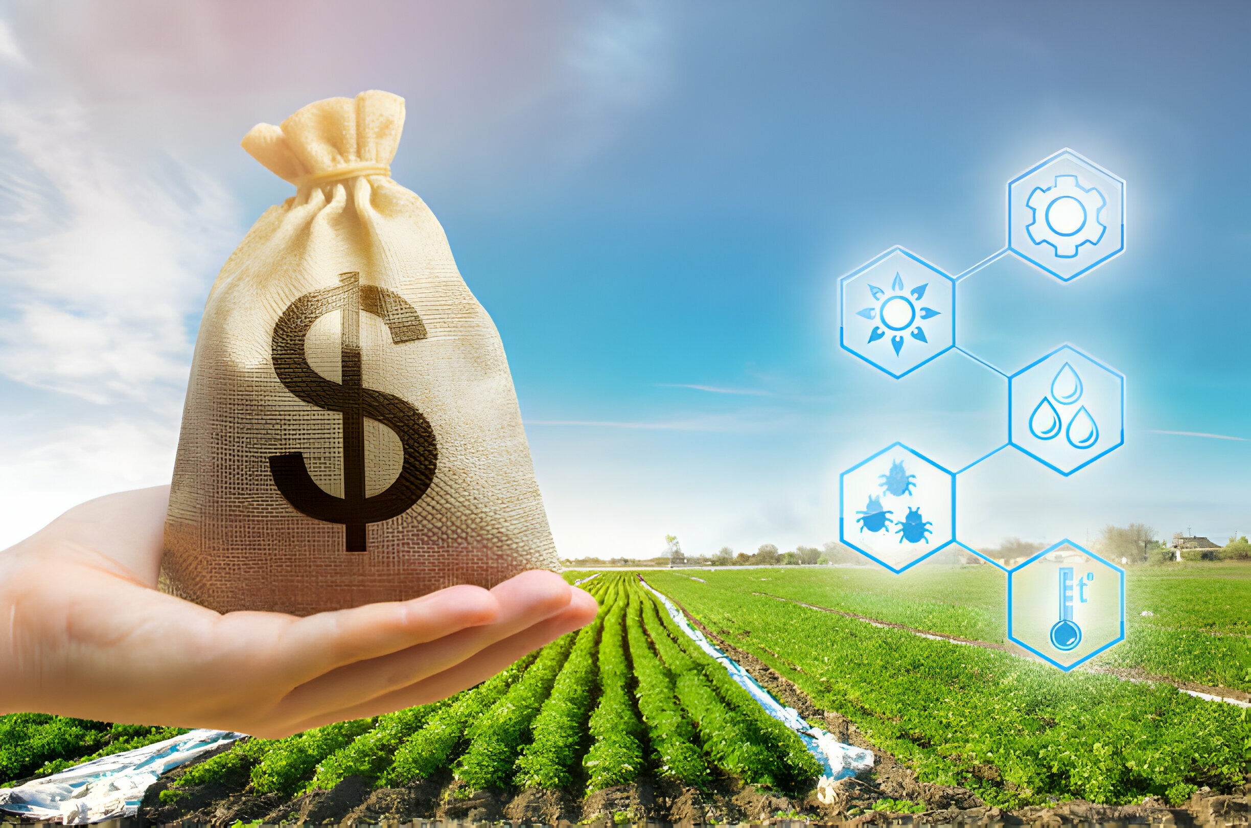 Top Agricultural Commodities to Invest In